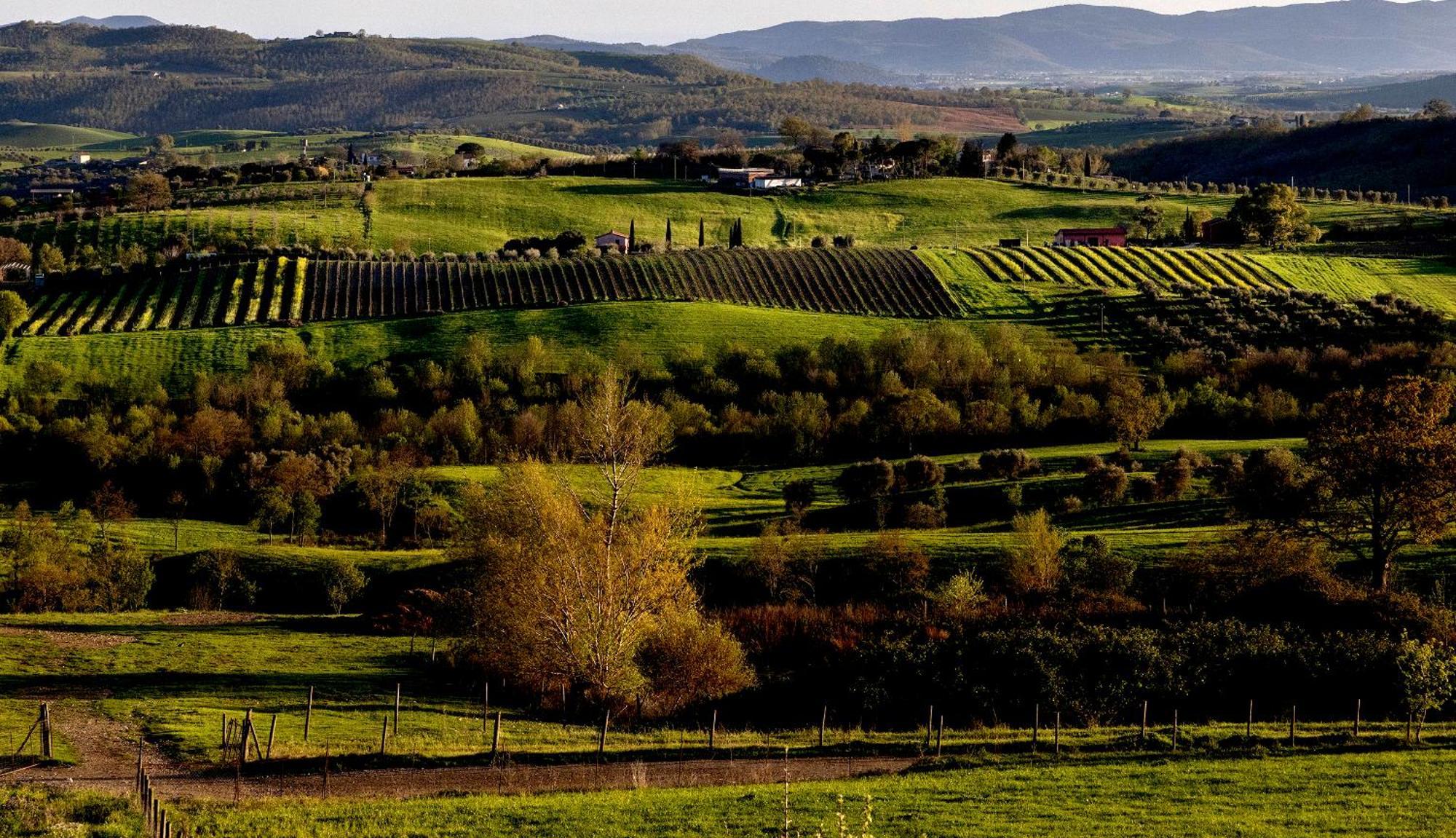 Poggio La Luna - La Casa Nel Vigneto Монтемерано Экстерьер фото